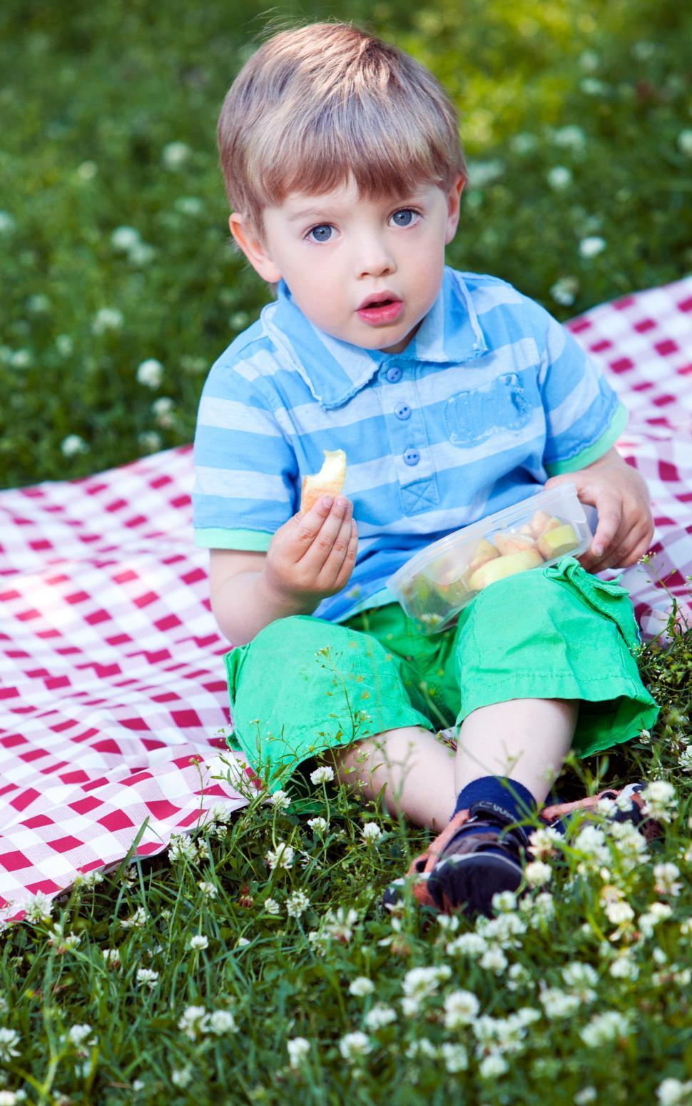 Free Image of Cute little boy at picnic in the park 