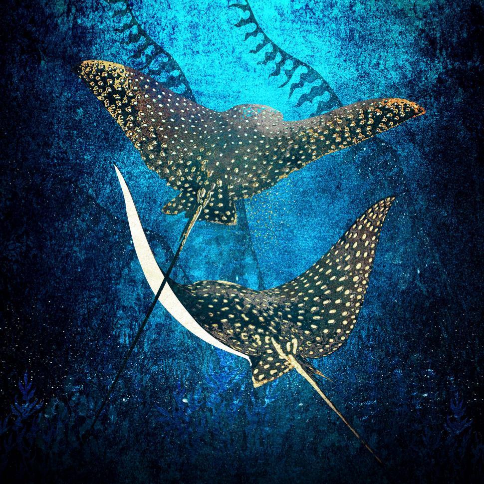 Free Image of Golden Stingrays - Metallic Spotted Eagle Rays 