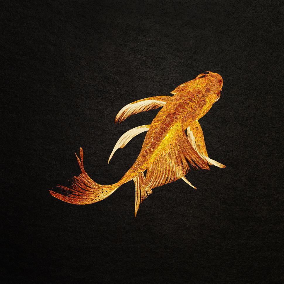 Free Image of Koi Carp - Golden Texturized Koi Carp 