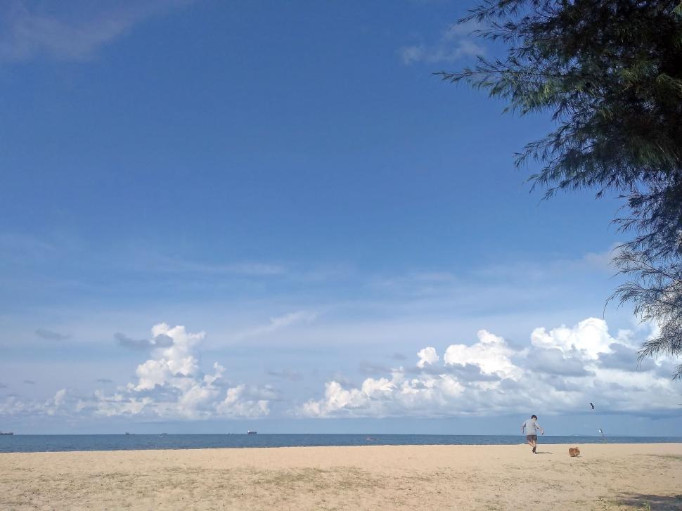 Free Image of Man runs on a beach with his dog  