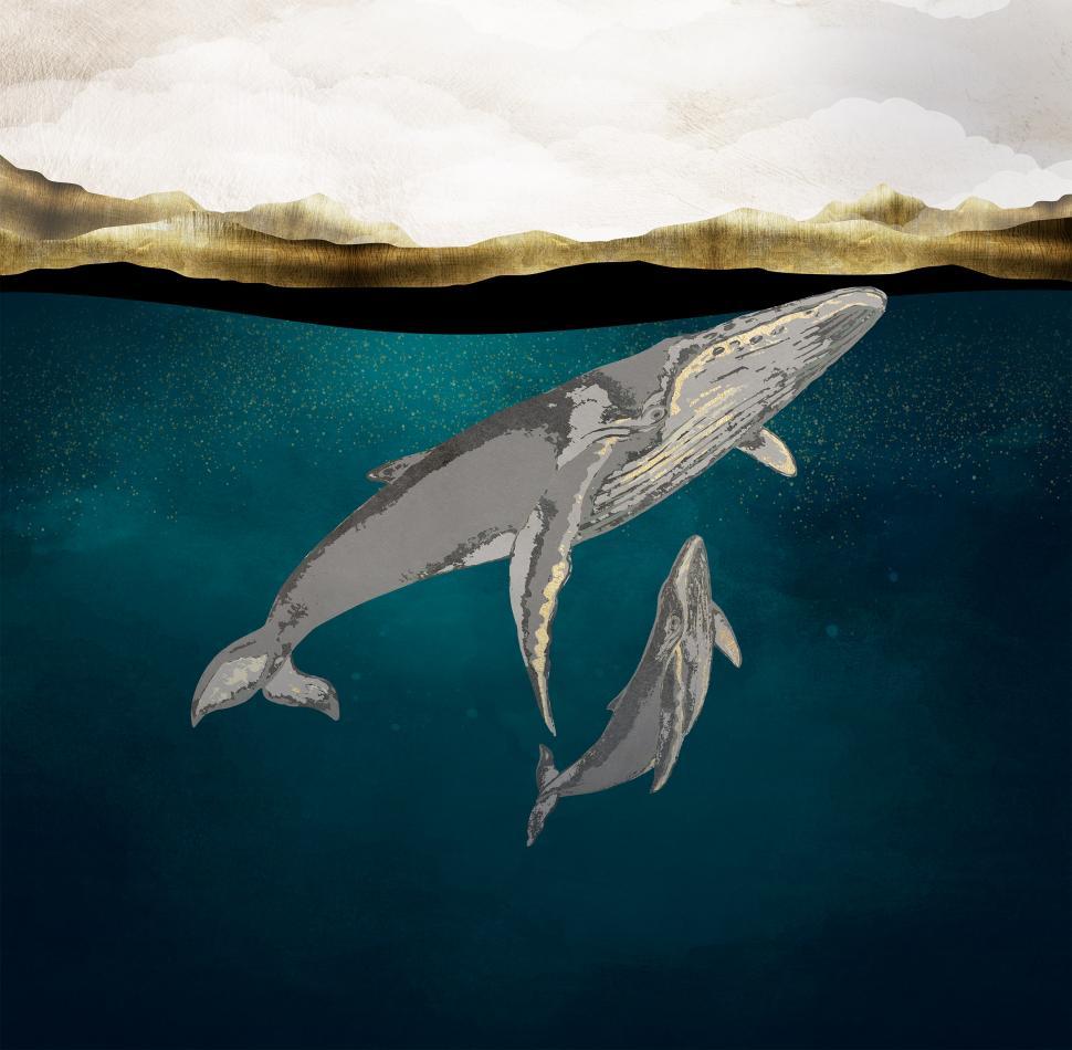 Free Image of Humpback Whales - Mother and Calf  