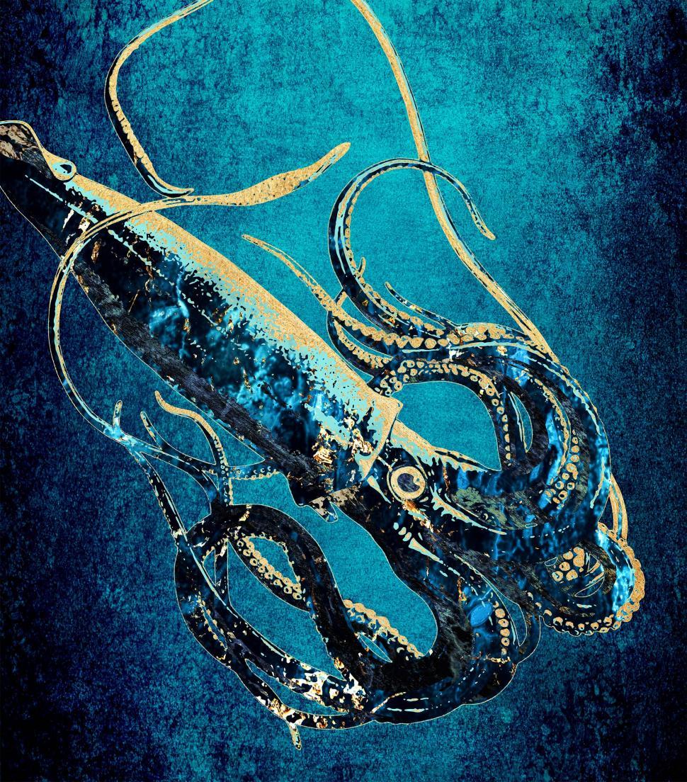 Free Image of Squid - Mysterious Deep Sea Creature 