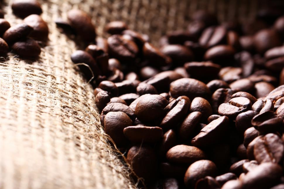 Free Image of Coffee beans on burlap sack 