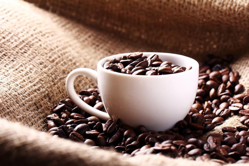 Free Image of White mug full of coffee beans 