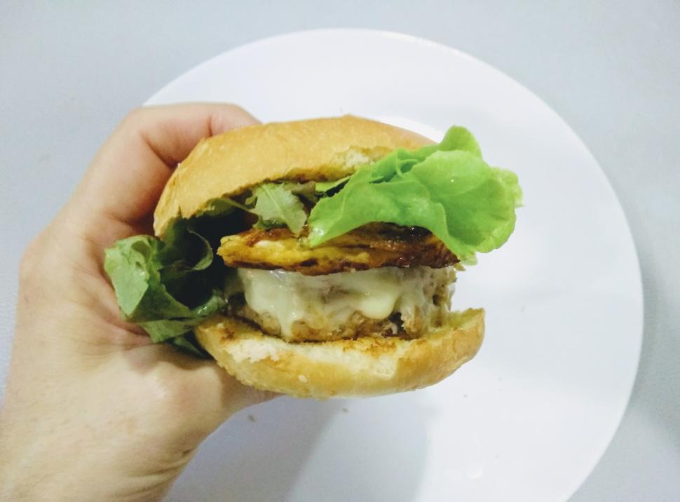 Free Image of Hand holding a burger  