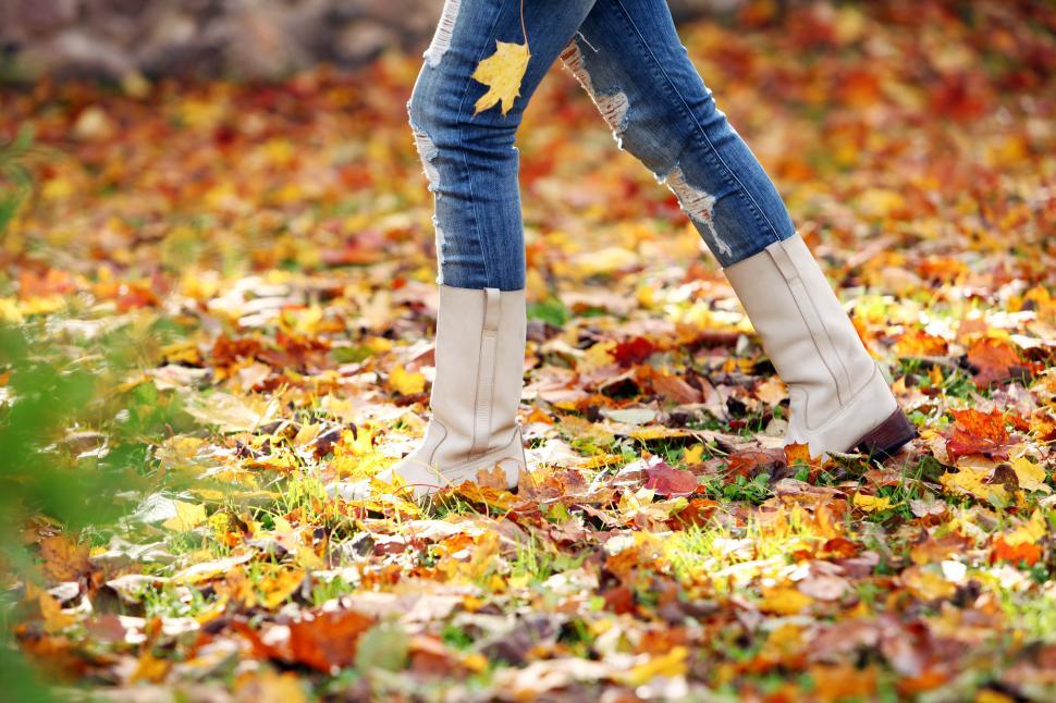 Free Image of Walking in Autumn leaves 