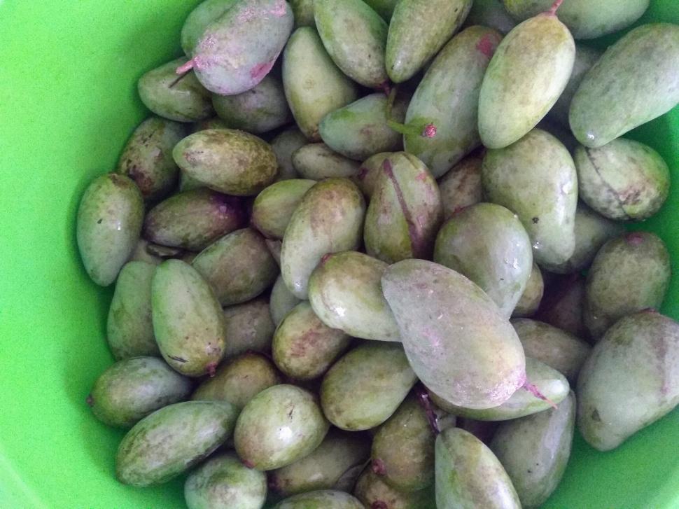 Free Image of Whole green mangoes  
