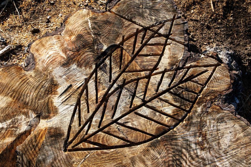 Free Image of Stump with leaf design cut into it 