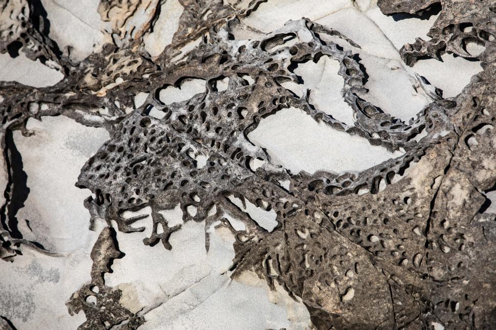 Free Image of Holes and patterns worn into rocks near the ocean 