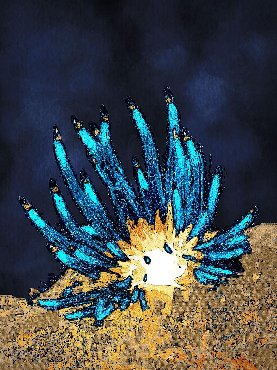 Free Image of Colorful Sea Anemone - Abstract Anemone 