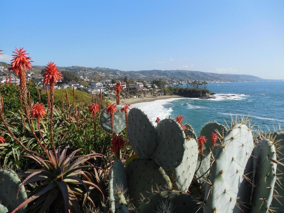 Free Image of Laguna Beach, California  