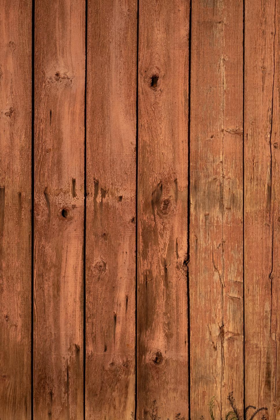Free Image of Brown pine wood - background 