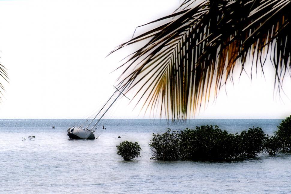 Free Image of Sailboat stuck on mangrove sandbar. 