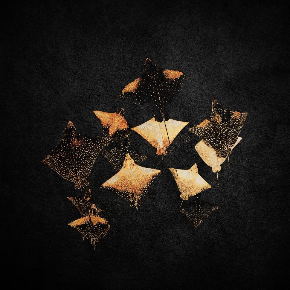Free Image of Golden Stingrays in the Deep 