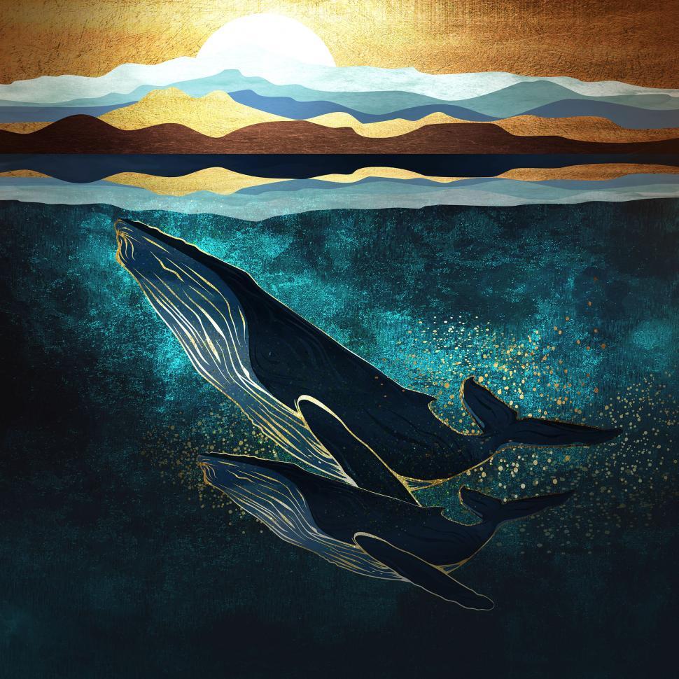 Free Image of Wandering Humpback Whale Mother and Calf  