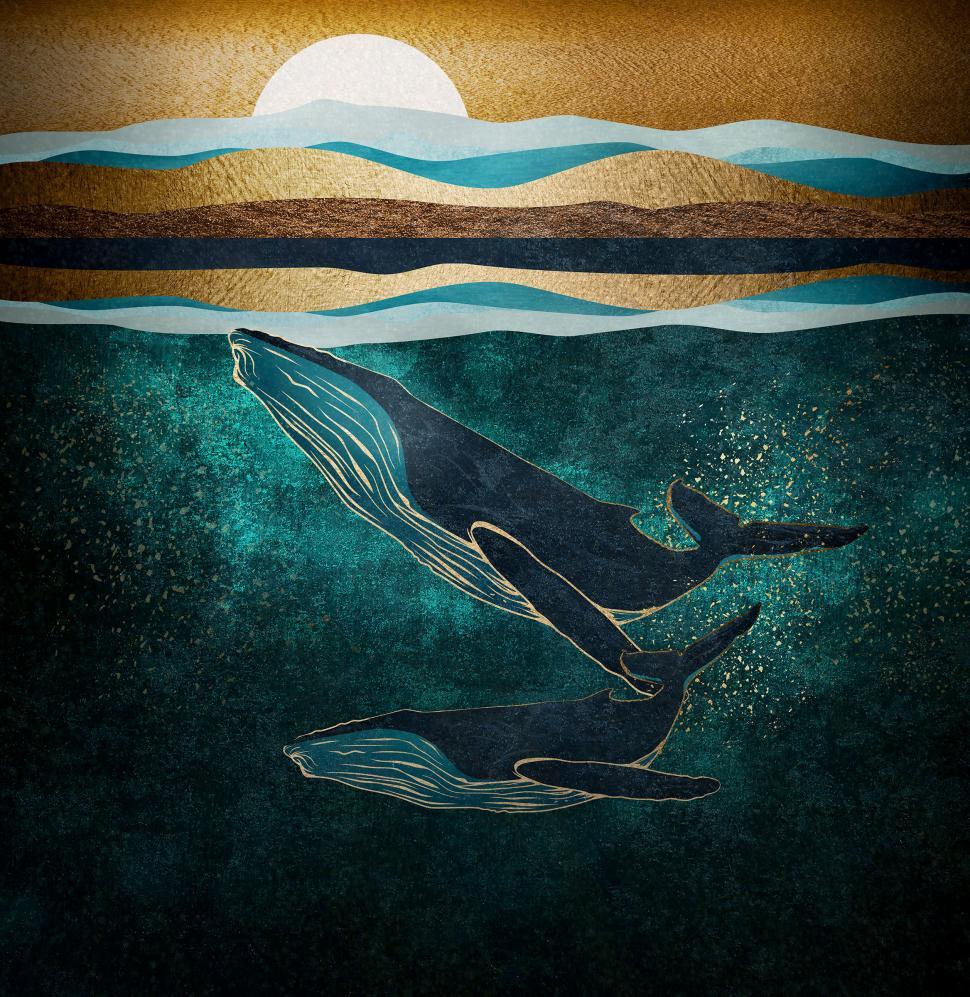Free Image of Wandering Humpback Whale Mother and Calf II 