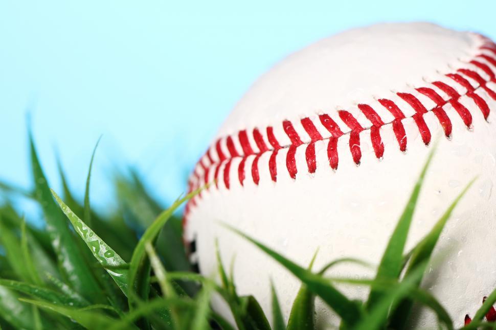 Free Image of Baseball sits in green grass 