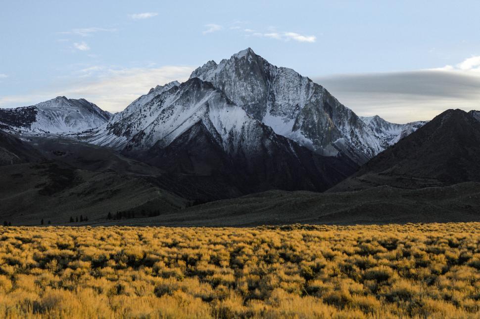 Free Image of Meadow and snow mountains with trekkers 