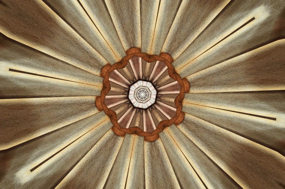 Free Image of Close Up View of Ceiling in Building 