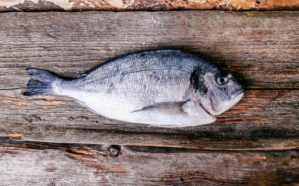 Free Image of Whole fish on the table  