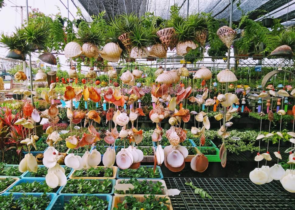 Free Image of Decorative shell garden wind chimes  