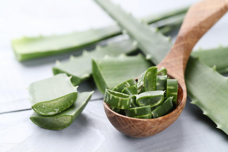 Free Image of Aloe vera sliced 
