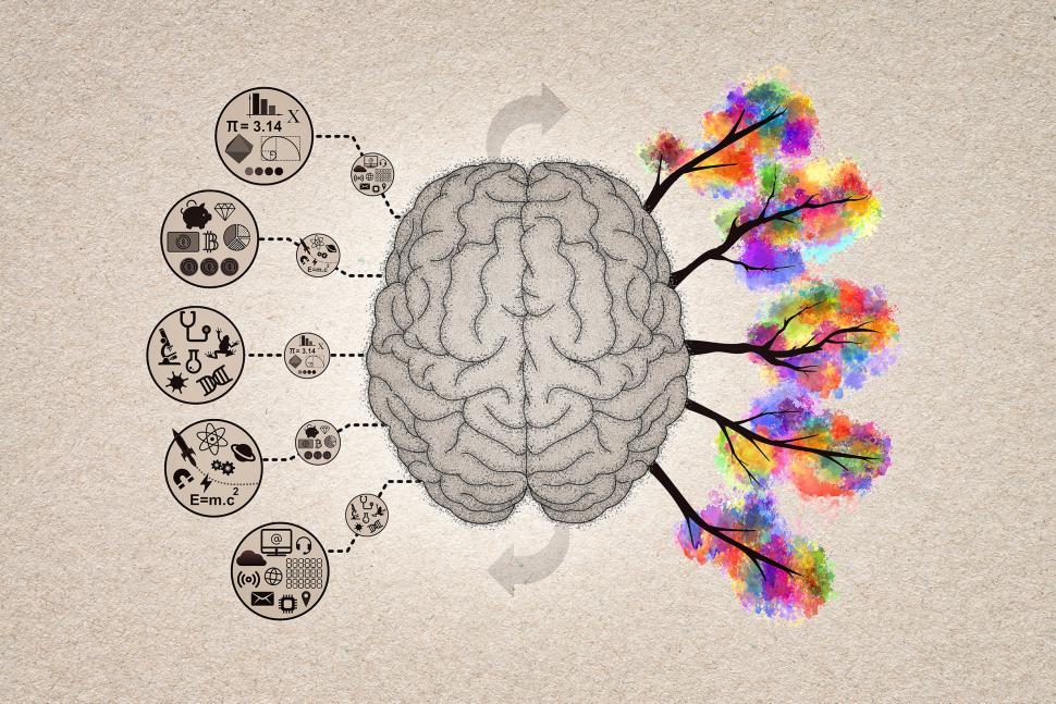 Free Image of Brain Functions Concept Illustration - Left Brain and Right Brai 
