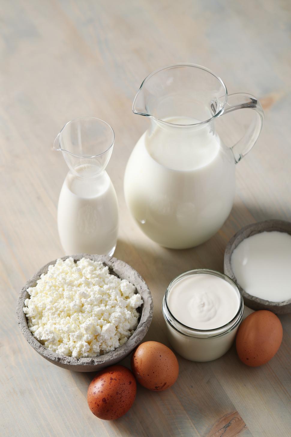 Free Image of Dairy products 