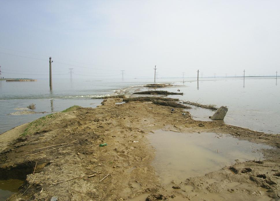 Free Image of Flooded rural area water invading the fields 