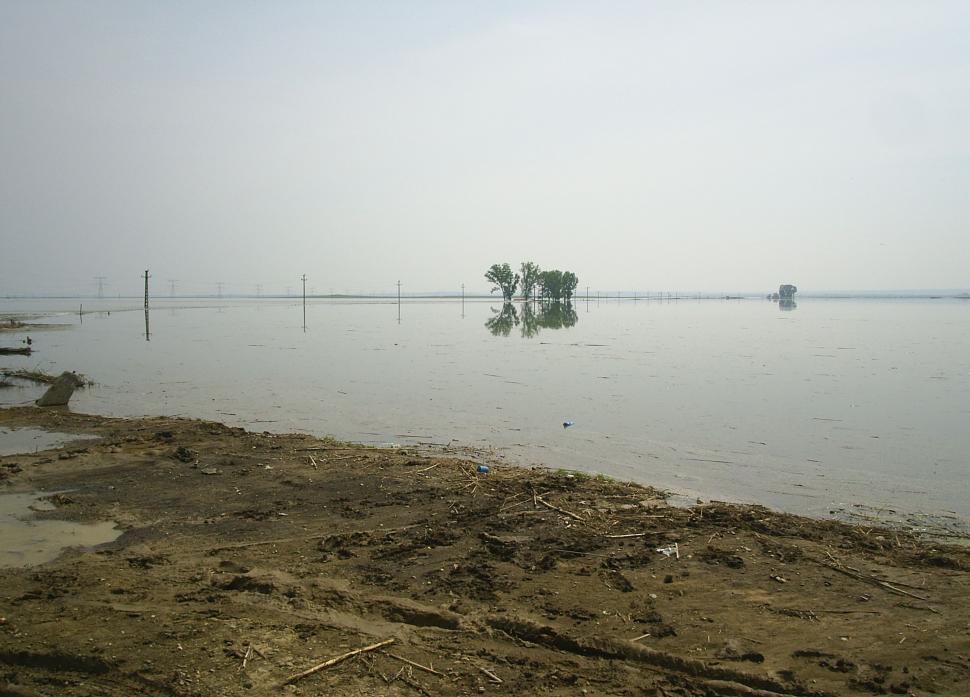 Free Image of Flooded rural area water invading the fields 