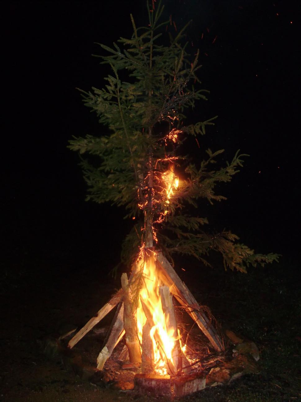 Free Image of Camp Fire At Night 