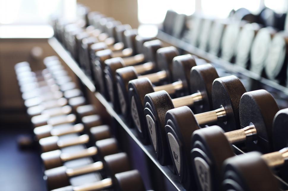 Free Image of Dumbbells 