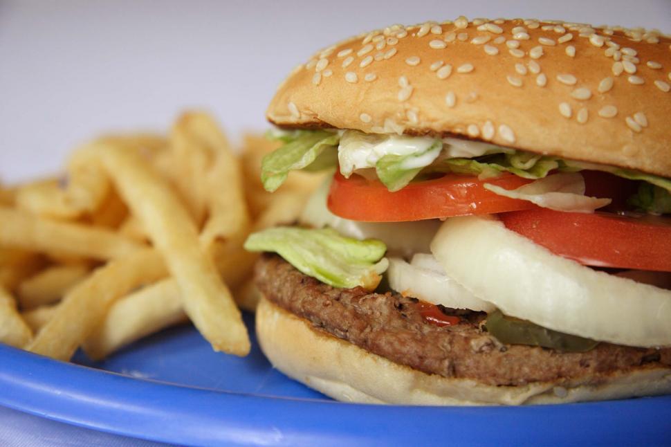 Free Image of Hamburger and French Fries on a Plate 