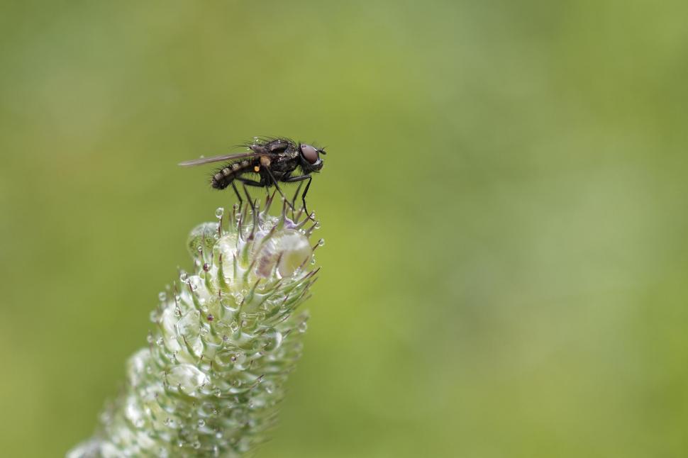 Free Image of Riding out the rain 