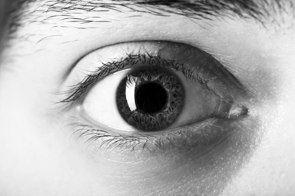 Free Image of Close up of eye 