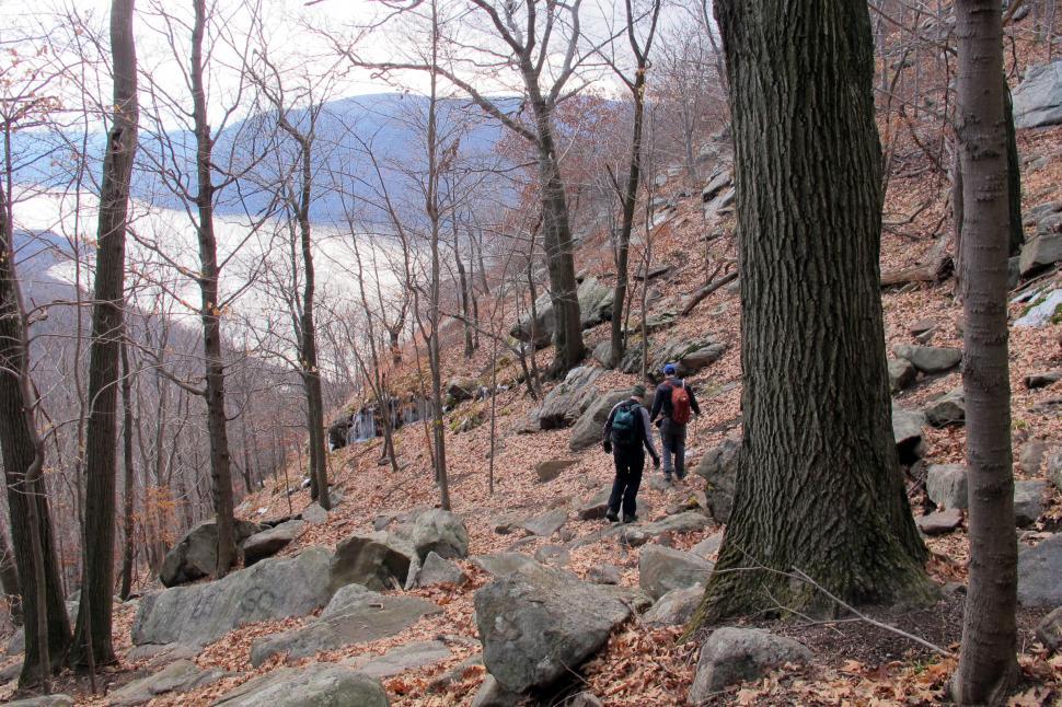 Free Image of Down Hill 