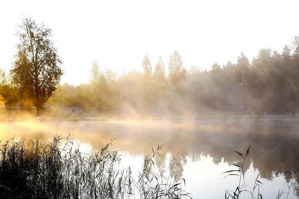Free Image of background of nature river and sun 