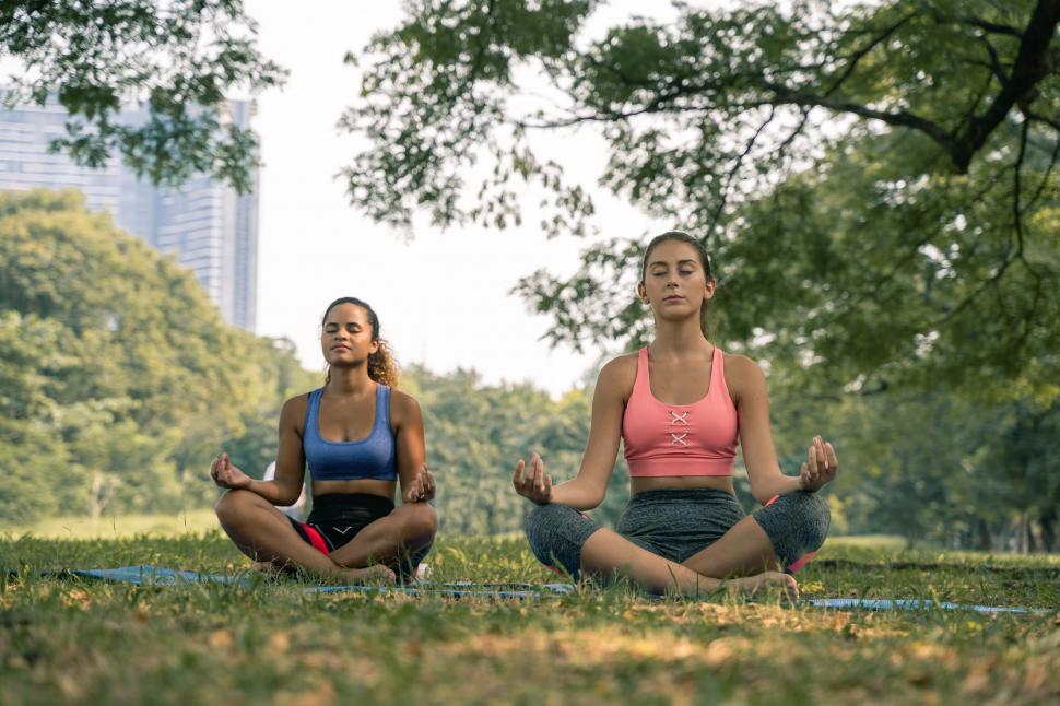 Free Image of Yoga in the park 
