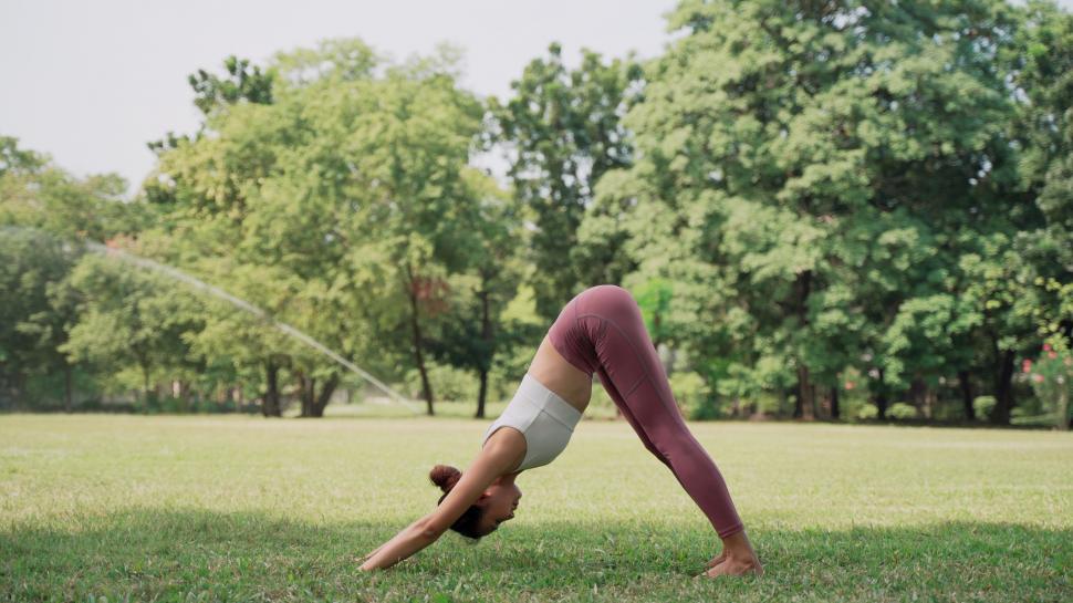 Free Image of Downward Facing Dog 