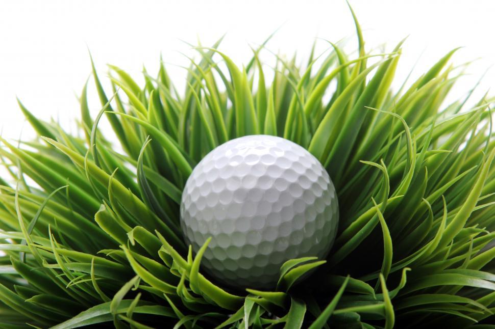 Free Image of Golf ball in the rough 
