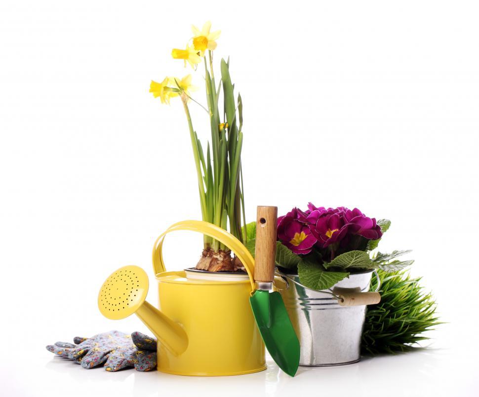 Free Image of Gardening stuff 