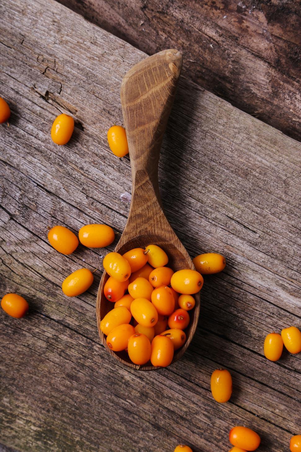 Free Image of Sea buckthorn 