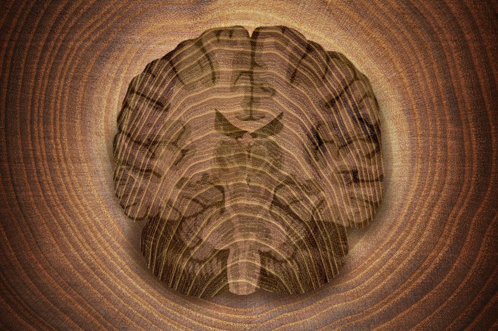 Free Image of Abstract Wooden Brain on Wood Background 