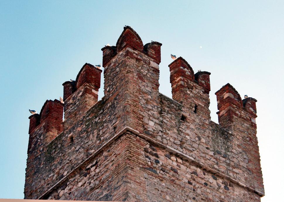 Free Image of Old castle detail, with gulls 
