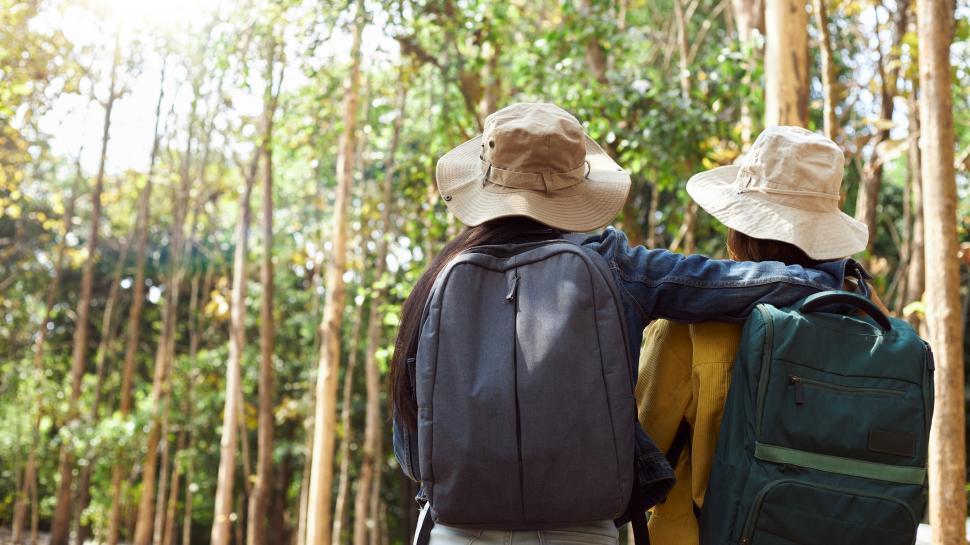 Free Image of The back of the tourists hiking. 