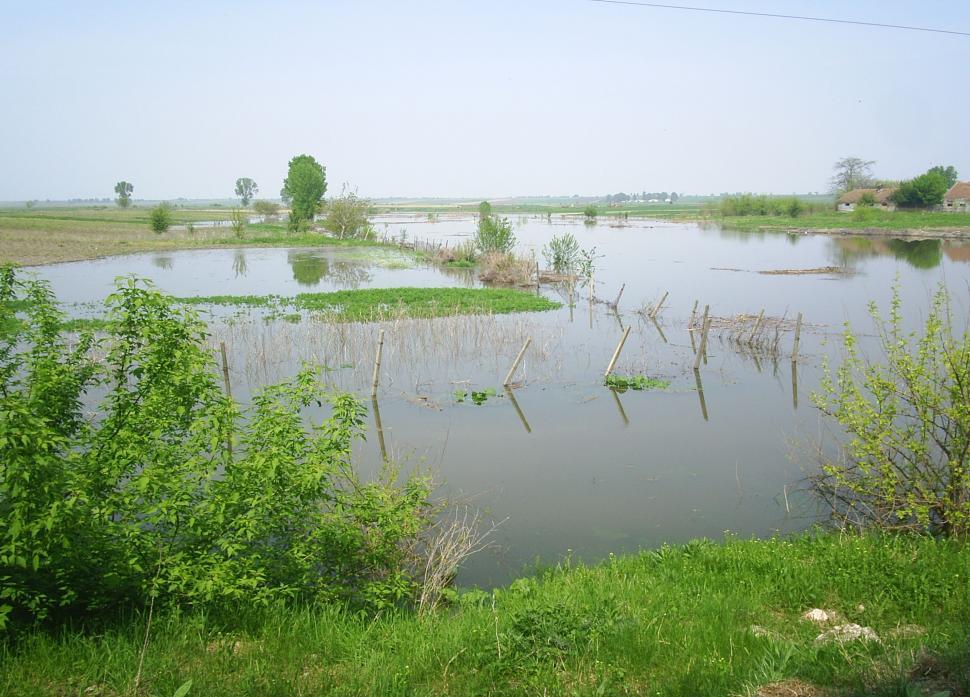 Free Image of Flooded rural area water invading the fields 