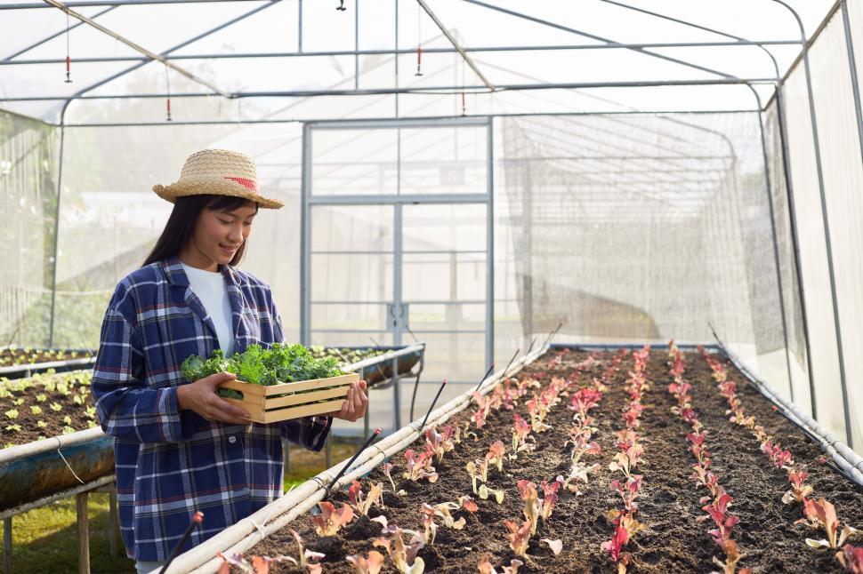 Free Image of Female gardener holding a basket of organic vegetables 