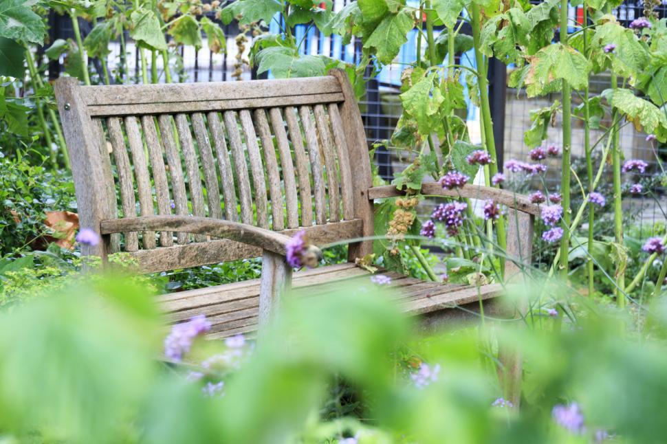 Free Image of Wooden bench 