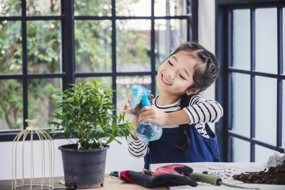 Free Image of Watering young plants with spray bottle 
