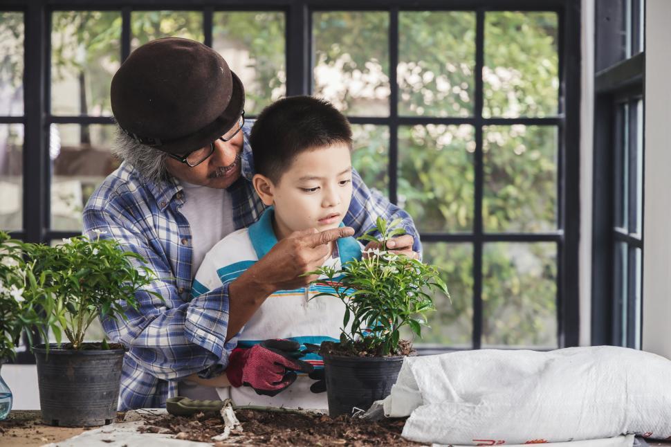 Free Image of Grandfather and nephew are working in the garden 